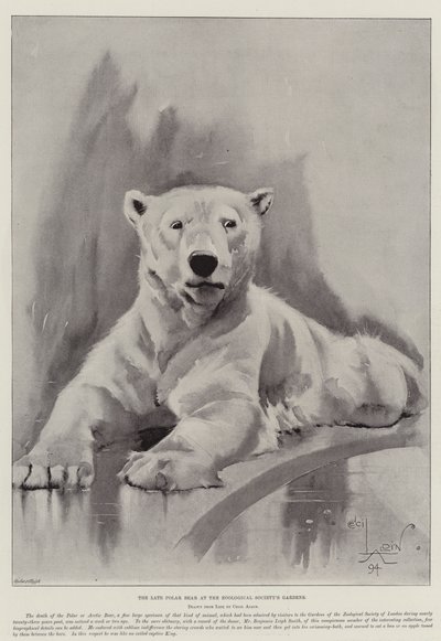 The Late Polar Bear at the Zoological Society